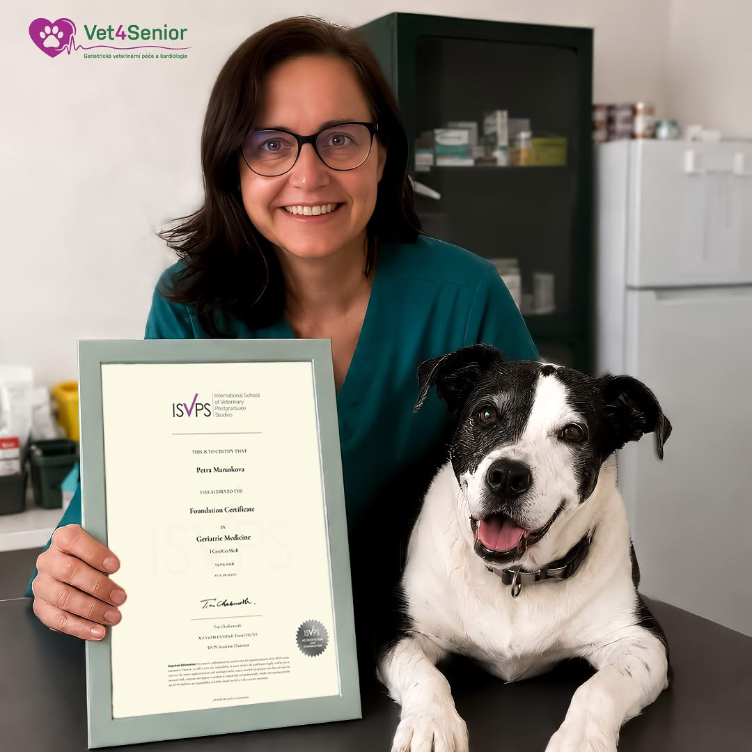 Foundation Certificate in Geriatric Medicine (FCert GerMed)