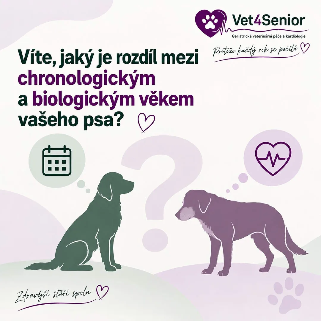 Chronologický a biologický věk psa