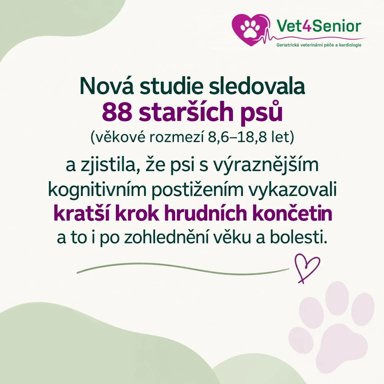 Studie chůze starších psů