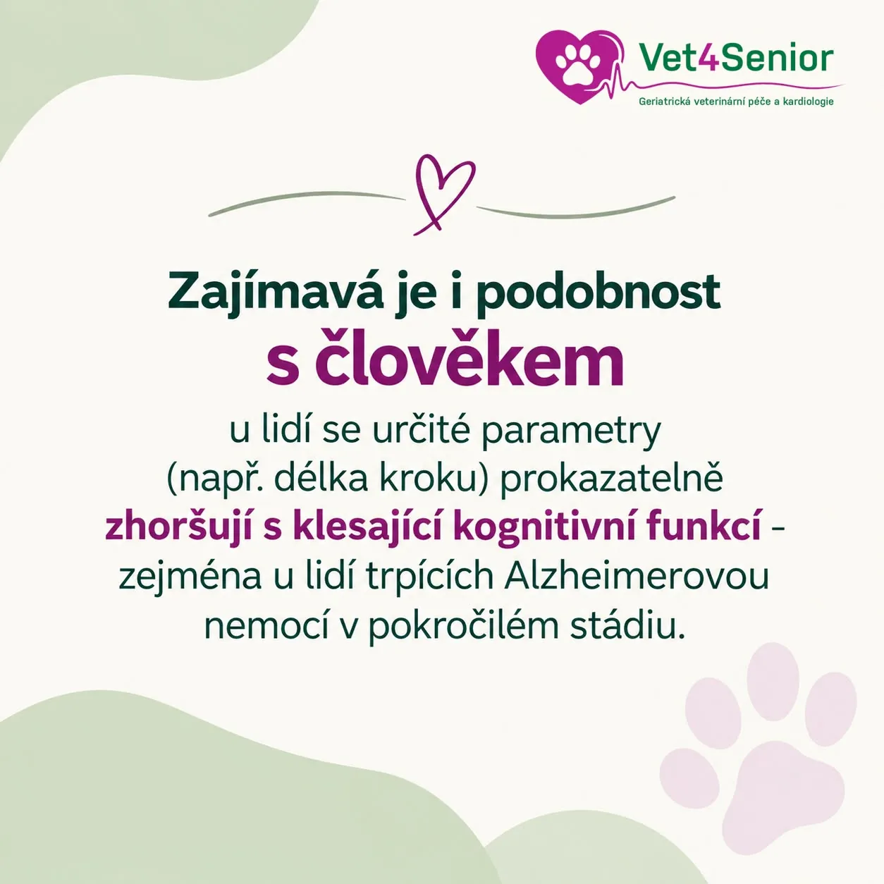 Podobnost chůze psa a člověka