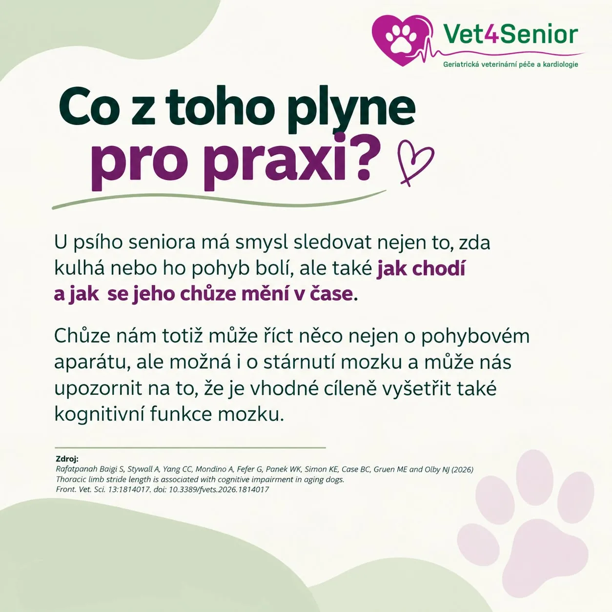 Co plyne ze změn chůze psího seniora