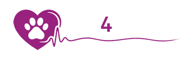 Vet4senior